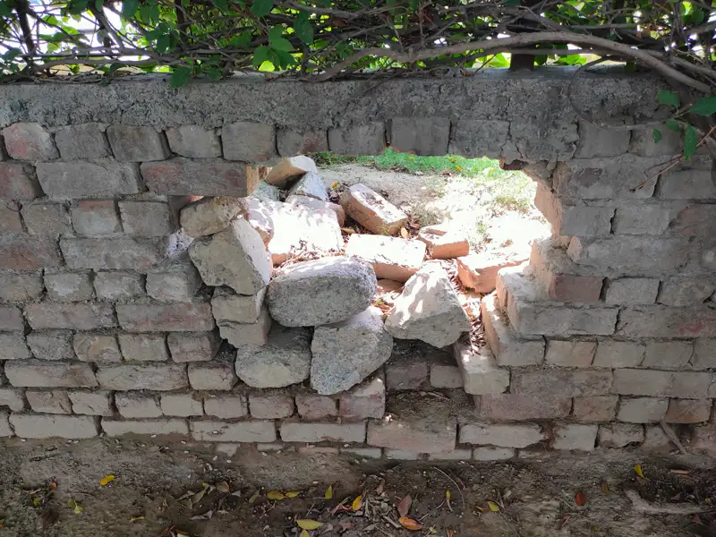 Broken walls central park lake city meadows